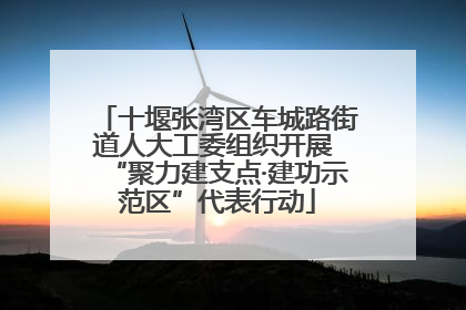 十堰张湾区车城路街道人大工委组织开展 “聚力建支点·建功示范区”代表行动